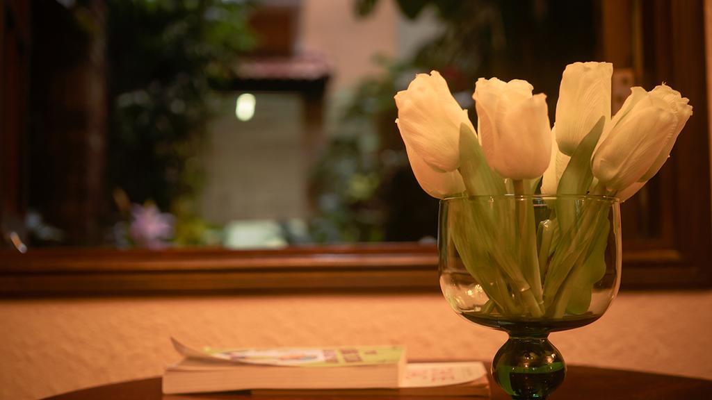 Cam Ly Boutique Apartment & Hotel 胡志明市 外观 照片